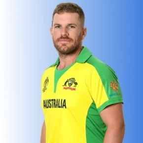 aaron james finch