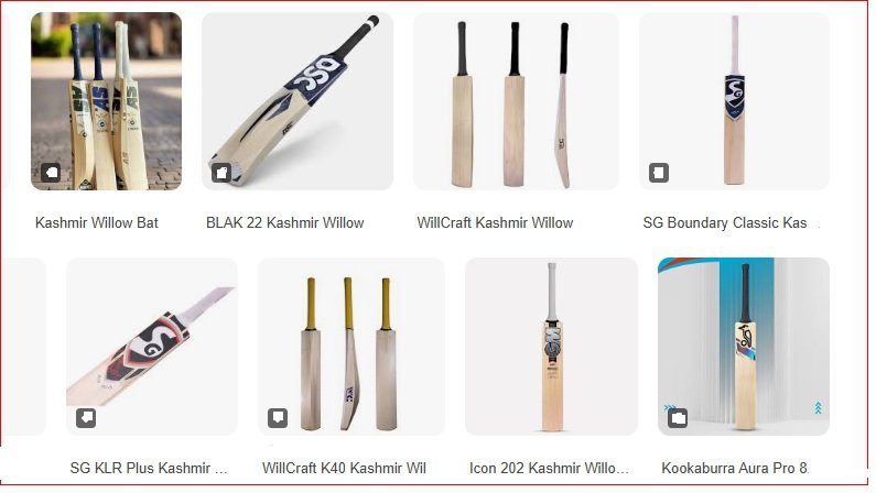 kashmir willow bat